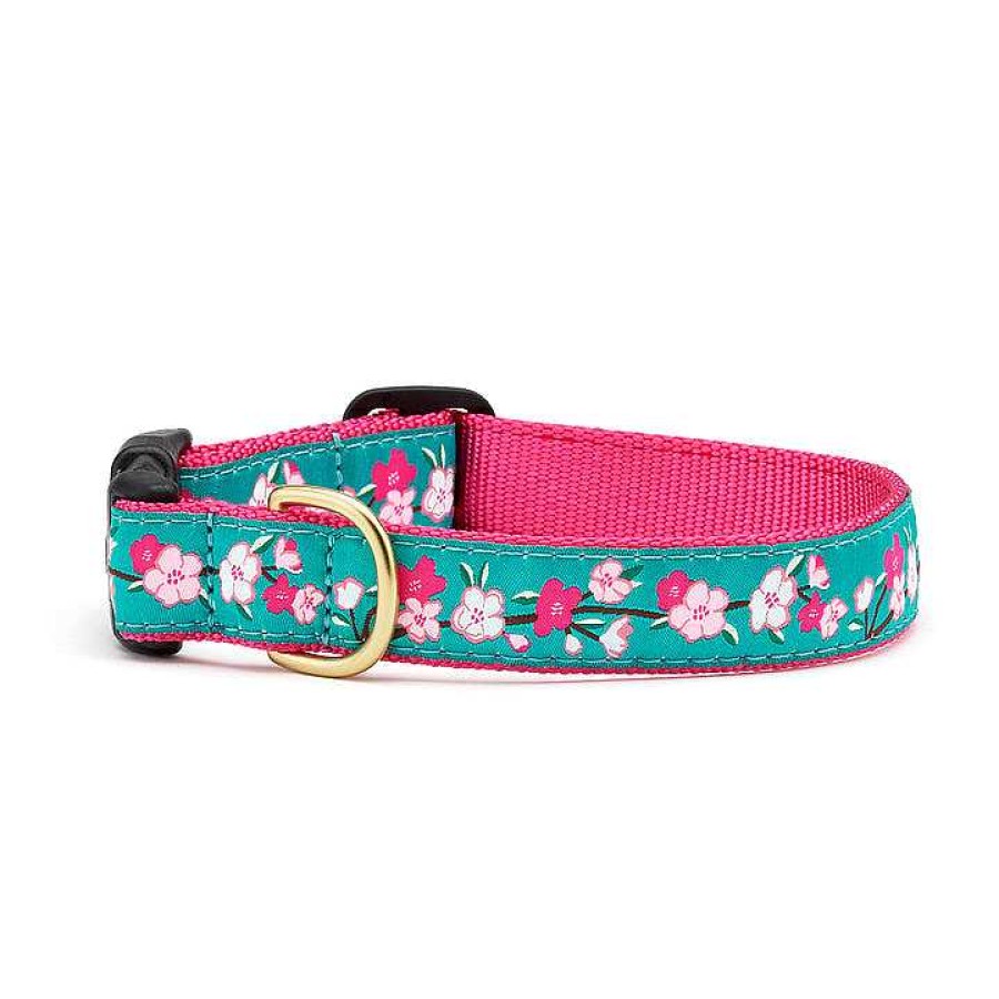 Wear Up Country Collars & Leashes | Cherry Blossoms Style