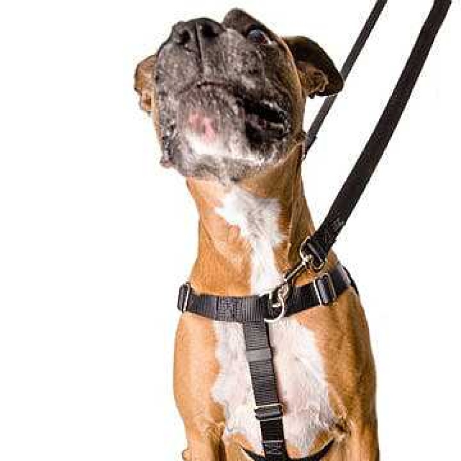 Wear 2 Hounds Harnesses | Red Freedom No-Pull Harness