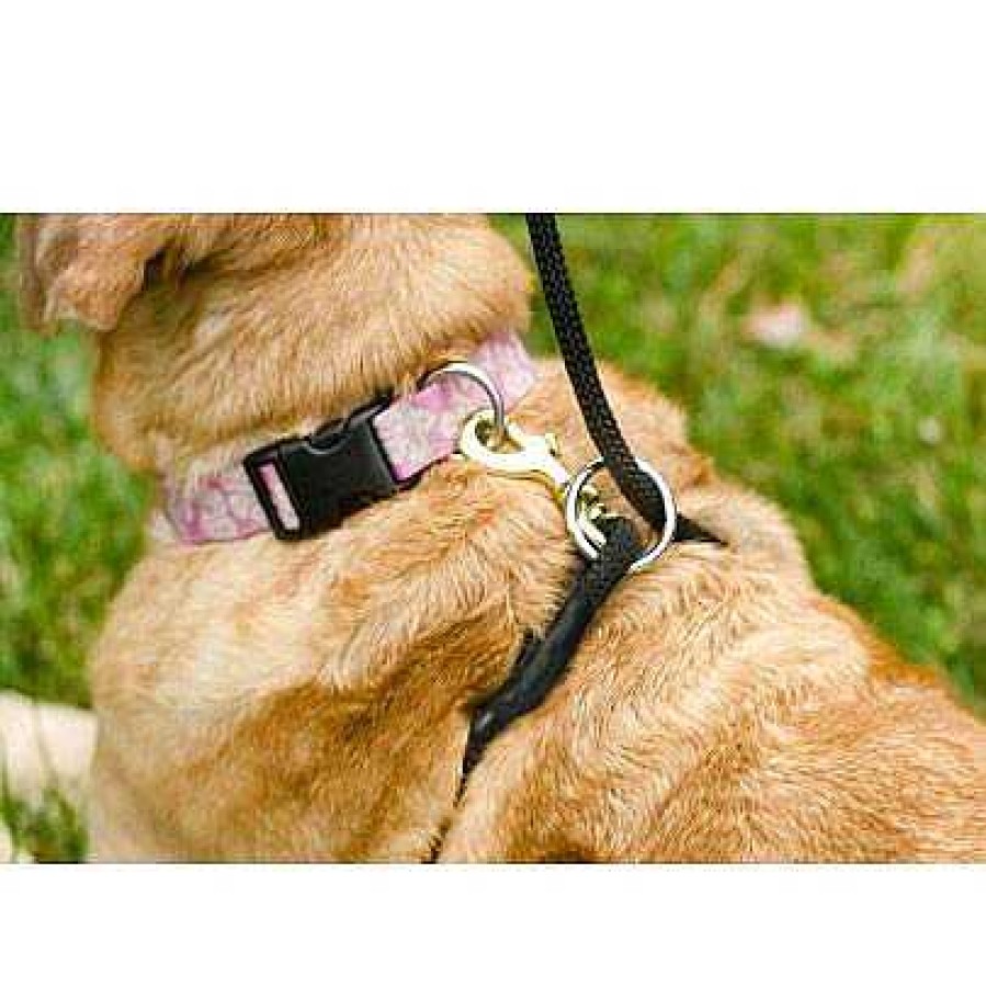 Wear Walkie Harnesses | The Walkie Leash