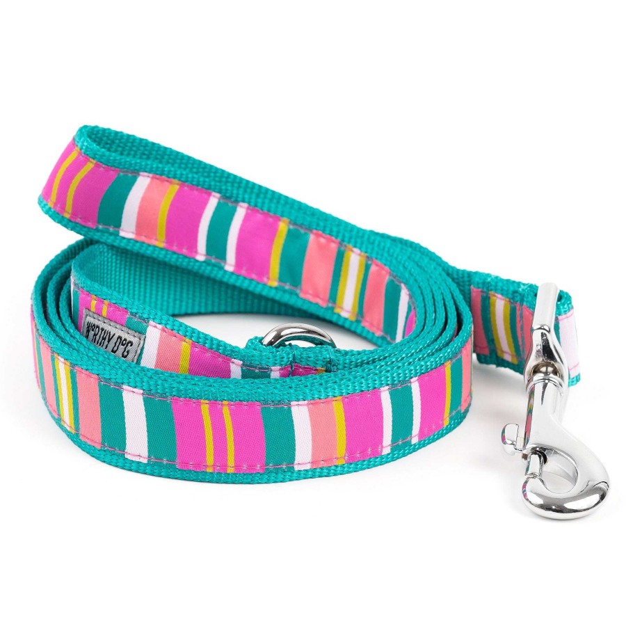 Wear The Worthy Dog Collars & Leashes | Fiesta Stripe Style