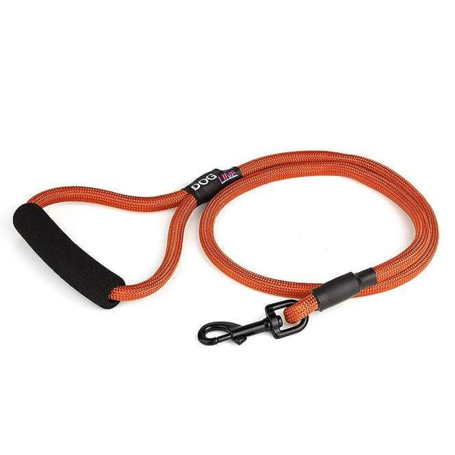 Wear Dogline Collars & Leashes | Nylon Flat Collar - Orange